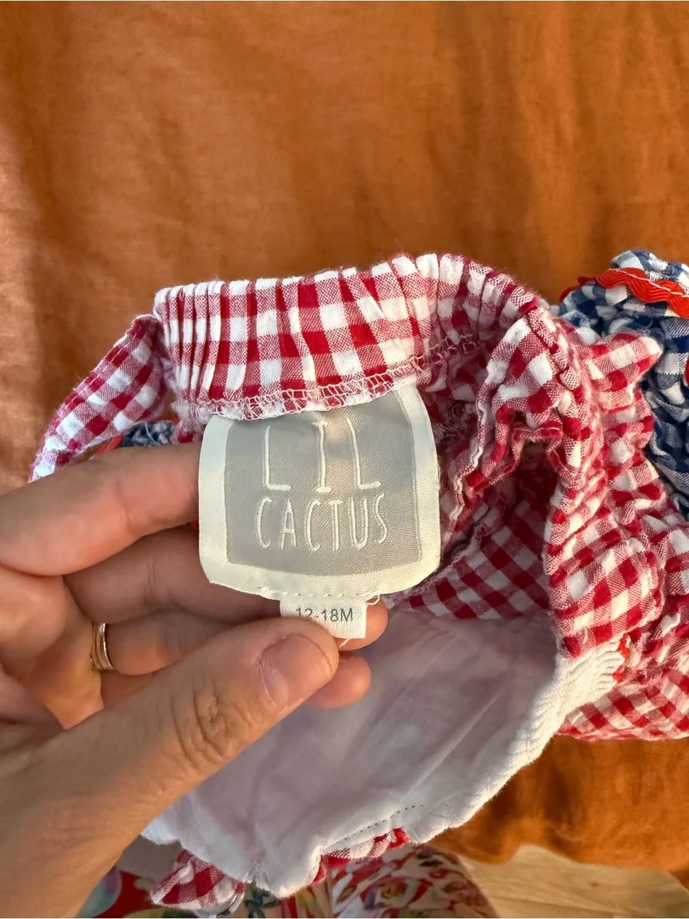 lol Cactus Red Gingham Baby Romper with Embroidered American Flags